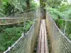 Jardin de Balata - Balade dans les arbres sur des ponts suspendus