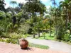 Jardin de Balata - Vue sur le jardin tropical depuis la terrasse de la maison créole