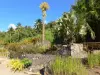 Jardin botanique du Carbet - Habitation Latouche - Vestiges de l'indigoterie et végétaux du jardin botanique