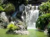 Jardin botanique de Deshaies - Cascade