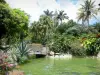 Jardin botanique de Deshaies - Petit pont de bois enjambant le bassin, au coeur du parc de Deshaies