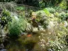 Jardin botanique de Deshaies - Mur d'eau végétalisé