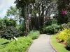 Jardin botanique de Deshaies - Promenade dans le parc floral
