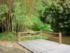 Jardin d'eau de Blonzac - Ponton et bambous au bord de l'eau