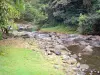 Jardin d'eau de Blonzac - Rivière parsemée de rochers et bordée d'arbres