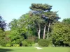 Jardin du Pré-Catelan - Pelouses et arbres du jardin