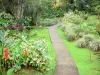 Jardins de Valombreuse - Parc floral du domaine de Valombreuse, sur la commune de Petit-Bourg et l'île de la Basse-Terre : allée du jardin exotique bordée de plantes tropicales
