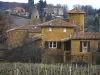 Jarnioux - Vignes et maisons en pierre du village, dans le Pays des Pierres Dorées