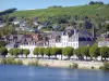 Joigny - Maisons le long de la rivière Yonne, vignoble de Joigny dominant l'ensemble