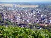 Joigny - Vue sur les toits de la ville de Joigny depuis le belvédère de la côte Saint-Jacques, vignes en premier plan