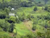 Jordanne valley - Parc Naturel Régional des Volcans d'Auvergne: green landscape of the valley