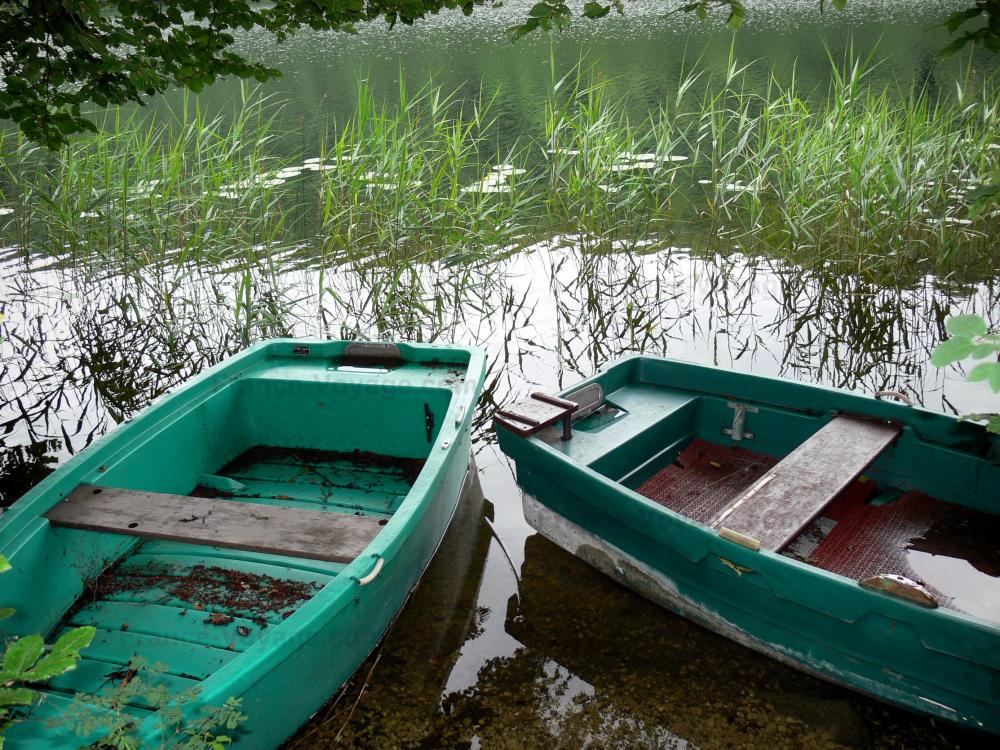 Guide du Jura - Lac du Val - Barques, roseaux et plan d'eau