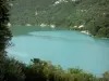 Reiseführer des Jura - Jura Landschaften - See von Vouglans (künstliches Wasserreservoir) und Ufer bepflanzt mit Bäumen