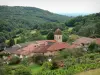 Gids van de Jura - Landschappen van de Jura - Dorp van Montagna-le-Vernieuwde met zijn kerk (klokkentoren) en de huizen, tuinen, bomen en bos