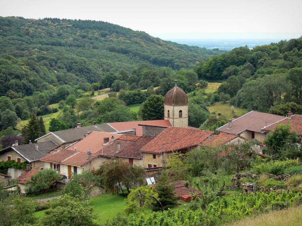 Guide du Jura - Paysages jurassiens - Village de Montagna-le-Reconduit avec son église (clocher) et ses maisons, jardins, arbres et forêt