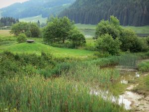 Guide Of The Jura Mountains Tourism Holidays Weekends Guide Of The Jura Mountains Tourism Holidays Weekends