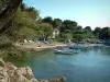 Kaap van Antibes - Kleine pittoreske haven met zijn kleurrijke boten