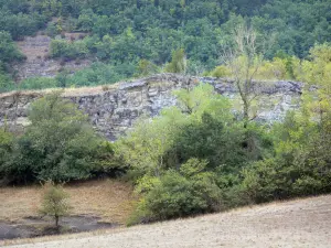 Kalk-Hochebene des Larzac - Larzac-Hochebene, im Regionalen Naturpark der Grands Causses: Felswände umgeben von Bäumen