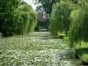 Kasteel van Ainay-le-Vieil - Kanaal met waterlelies, bomen (wilgen) en vlag op de achtergrond