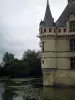 Kasteel van Azay-le-Rideau - Hoektoren van de renaissance kasteel, de rivier (Indre) met waterlelies en bomen in het park