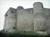 Kasteel van Billy - Middeleeuws kasteel (fort)
