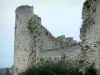 Kasteel van Billy - Middeleeuws kasteel (fort)