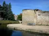 Kasteel van Brie-Comte-Robert - Toren en muren van het middeleeuwse kasteel en de gracht