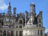 Kasteel van Chambord - Renaissance kasteel: toren en lantaarn toren van de kerker