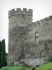 Kasteel van Chouvigny - Gekanteelde toren van het middeleeuwse kasteel, in de vallei van de Sioule (kloof Sioule)