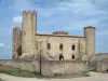 Kasteel van Essalois - Gevel van het kasteel in de Loire kloven, om Chambles
