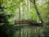 Kasteel van Grouchy - Kleine brug en bomen aan het water