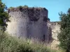 Kasteel van Langoiran - Overblijfselen van het kasteel