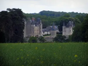 Kasteel van Montpoupon - Veld op de voorgrond met uitzicht op het kasteel omgeven door bomen