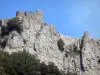 Kasteel van Peyrepertuse - Katharen fort gelegen op een rotsachtige kaap