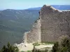 Kasteel van Peyrepertuse - Overblijfselen van het fort met uitzicht op het omringende groen