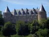 Kasteel van Rochechouart - Kasteel herbergt het Museum van Hedendaagse Kunst en bomen, in het Parc Naturel Regional Perigord-Limousin