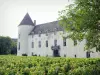Kasteel van Savigny-lès-Beaune - Gevel van het kasteel met uitzicht op de wijngaarden van de Côte de Beaune