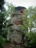 Kasteel van le Vieux Windstein - Ruïnes van zandsteen rotsen (klimmen site) en bomen