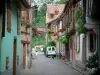 Kaysersberg - Beco pavimentado forrado com casas floridas com paredes coloridas