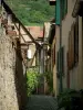 Kaysersberg - Estreita rua pavimentada com casas adornadas com plantas e flores