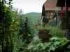 Kaysersberg - Plantas, flores, árvores e casas coloridas à beira do rio (Weiss)