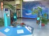 Kélonia, observatoire des tortues marines - Espace muséographique : salle Avenir