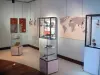 Kelonia, observatório de tartarugas marinhas - Espaço do museu: sala de confraternização