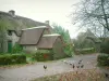 Kerhinet - Ruelle du village avec des poules et des coqs, et maisons aux toits de chaume (chaumières) ; dans le Parc Naturel Régional de Brière