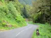 Keteldal van Falgoux - Parc Naturel Régional des Volcans d'Auvergne: weg omzoomd met bomen