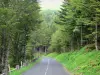 Keteldal van Falgoux - Parc Naturel Régional des Volcans d'Auvergne: weg door het bos