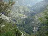 Keteldal van Navacelles - Natuurlijk amfitheater met uitzicht op de (natuurlijke amfitheater), de canyon of the Screw (Schroef de kloof)