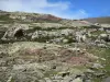 Keteldal van Troumouse - Rotsen, wilde bloemen en grassen, in de Pyreneeën Nationaal Park