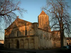 Kirche von Surgères - Kirche Notre-Dame romanischen Stiles und Bäume