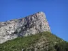 Kliffen van Rémuzat - Rotswanden overhangende vegetatie